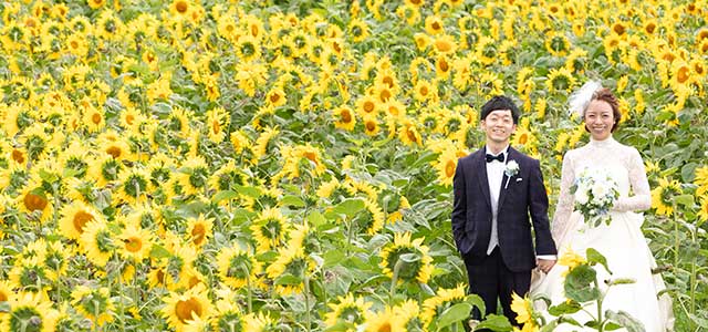 ひまわり咲き誇る夏の北海道を満喫 幻想的な教会で誓うナイトウエディング