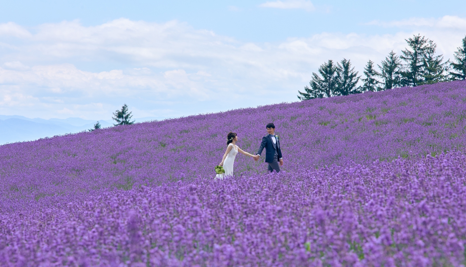 <p>おふたりでのご結婚式だからこそしっかり残したい<br />
ロケーションフォト・ツアー</p>
2