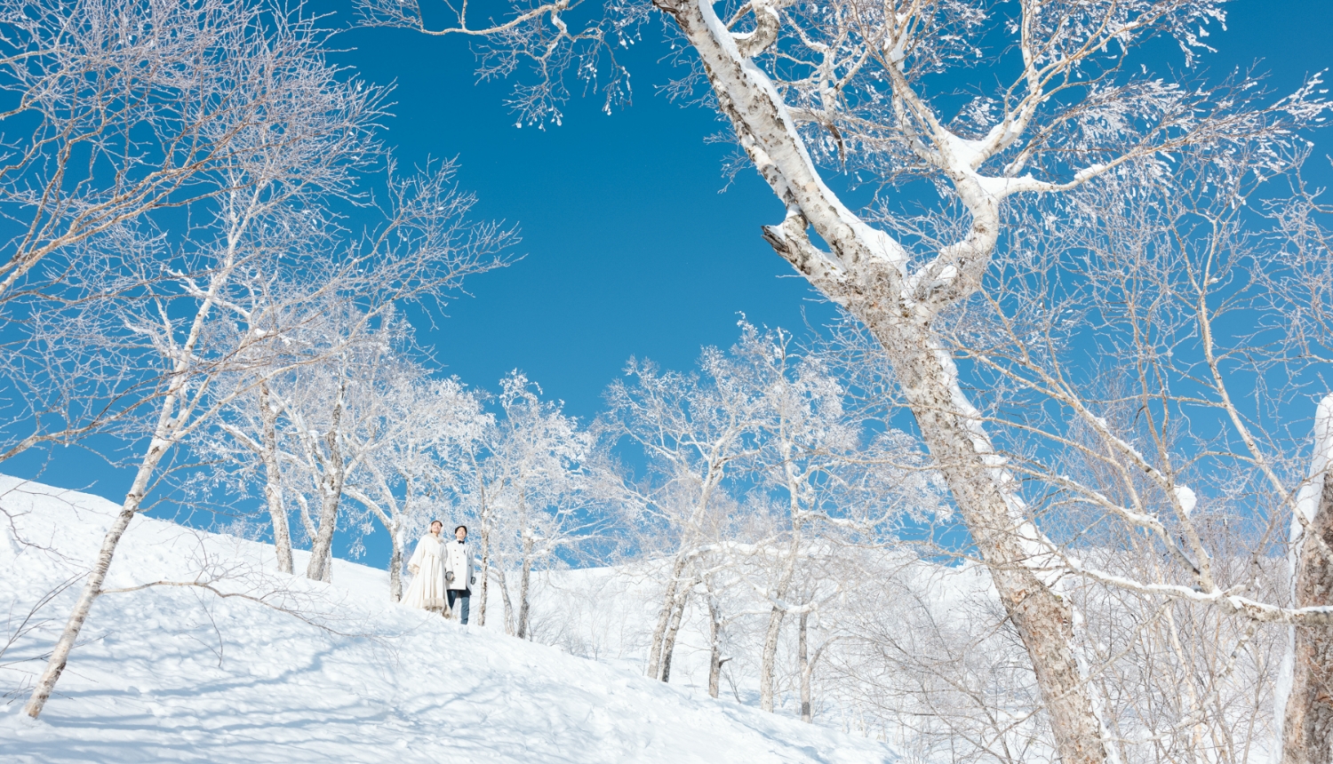 <p>この時期ならではの魅力3 ロケーションフォト</p>
3