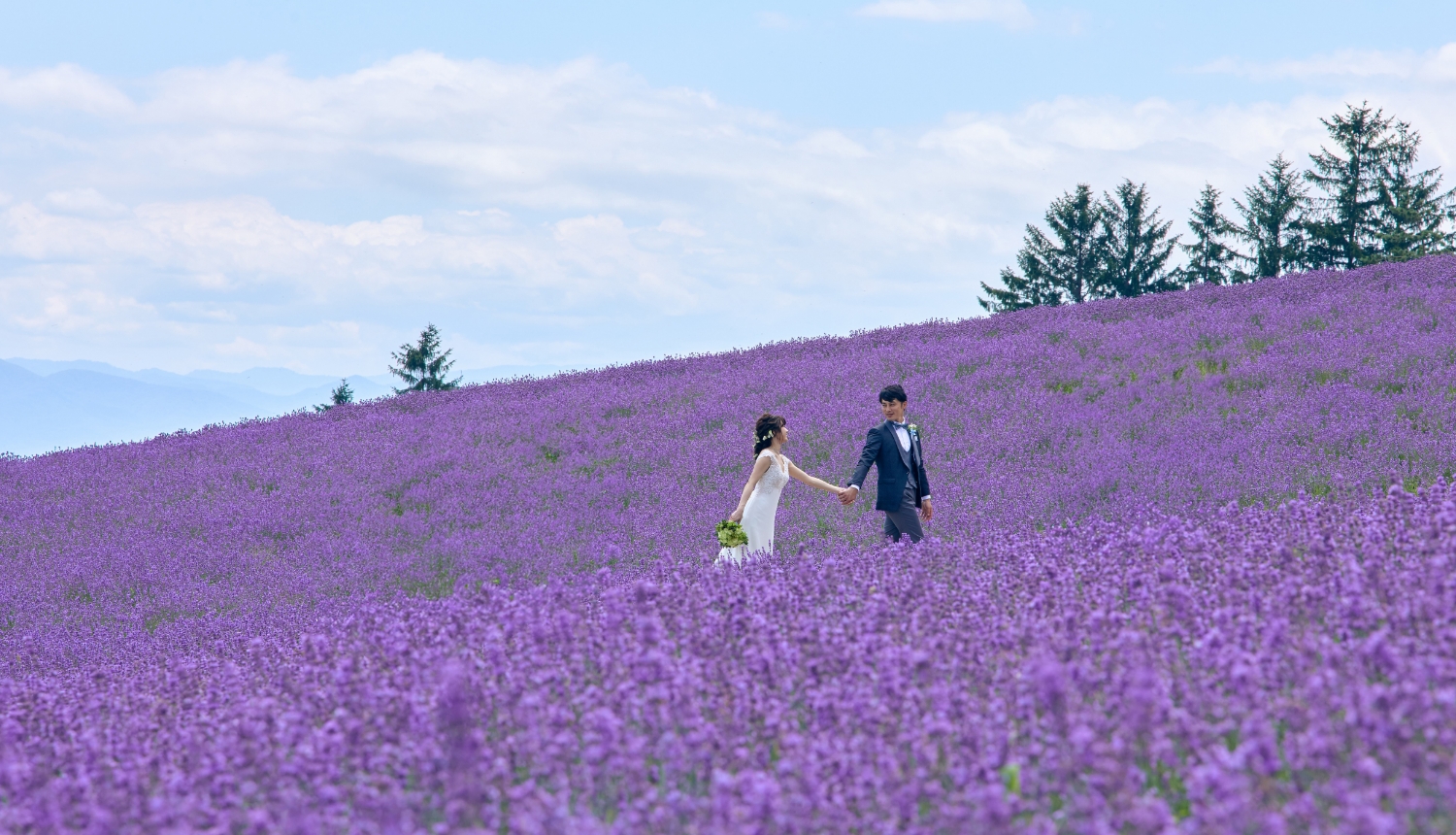 この時期ならではの魅力１　ロケーションフォト
1